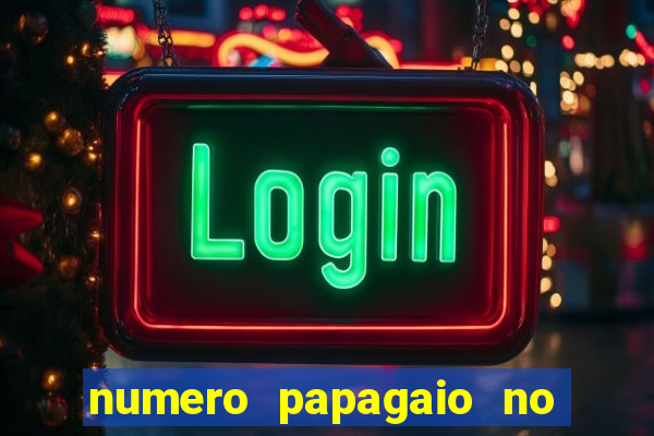 numero papagaio no jogo do bicho